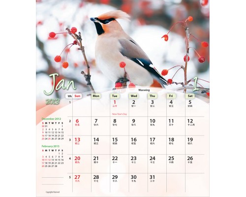 Desk Calendar DC13